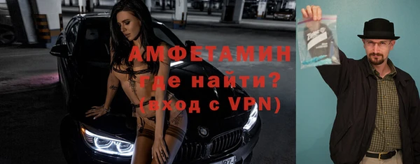 гашик Пересвет