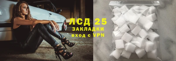 гашик Пересвет