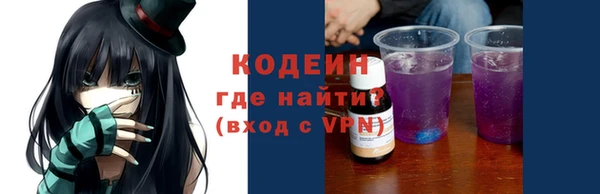 гашик Пересвет