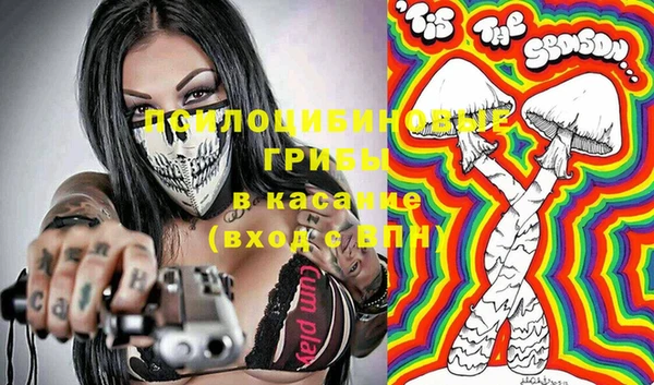 гашик Пересвет
